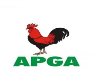 INEC Declares APGA’s Nwachukwu Winner Of Anambra South Senatorial Bye-Election