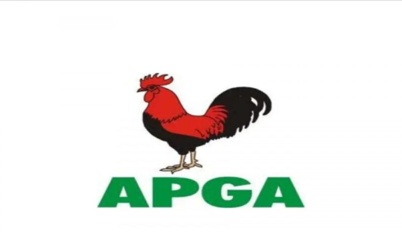 INEC Declares APGA’s Nwachukwu Winner Of Anambra South Senatorial Bye-Election