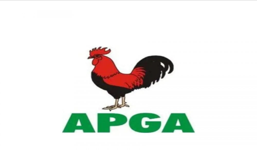 INEC Declares APGA’s Nwachukwu Winner Of Anambra South Senatorial Bye-Election