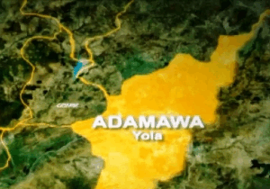 Binos partners BCDA to provide medical equipment to Adamawa communities