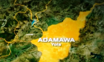 Binos partners BCDA to provide medical equipment to Adamawa communities