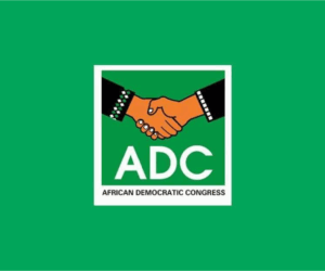 ADC asks INEC to investigate alleged irregularities in Saturday’s by-elections