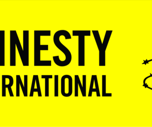 Amnesty Intl’s Recent Report On Nigeria Fake, Mischievous, Says NDMG – Independent Newspaper Nigeria
