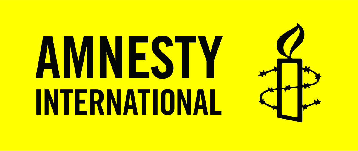 Amnesty Intl’s Recent Report On Nigeria Fake, Mischievous, Says NDMG – Independent Newspaper Nigeria