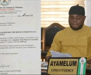 Anambra North LP Lawmakers Support Suspended Assembly Member, Describe Suspension As Premature