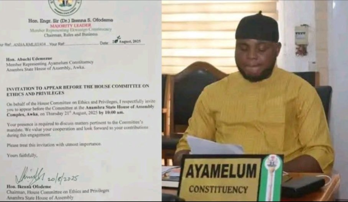 Anambra North LP Lawmakers Support Suspended Assembly Member, Describe Suspension As Premature