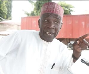Nigerian politicians opportunists – Buba Galadima