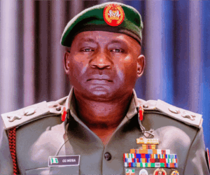 CDS Gen Musa Urges Every Nigerian To Learn Combat Skills For Self-defence