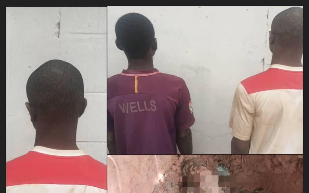 Man abducts, kills 5-year-old cousin after parents failed to pay ransom – Police