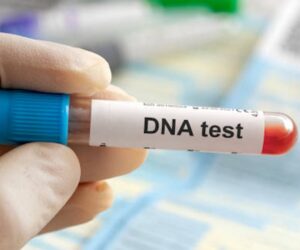 2025 DNA report shows 25% of Nigerian men not biological fathers