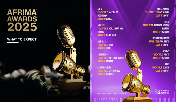 Davido, Burna Boy, Shallipopi Lead AFRIMA 2025 Nominations as Lagos Prepares to Host Africa’s Biggest Music Celebration