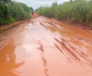 Delta Community Blames Abandoned Agbor–Amukpe Road for Kidnapping Crisis