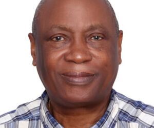 The supreme powers of the president in Nigeria, By Eric Teniola