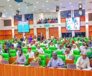 Reps panel summons 11 Discos over ₦2.6trn debt