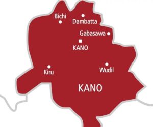 Three Stolen Cars Recovered In Kano As Police Nab Two Suspects