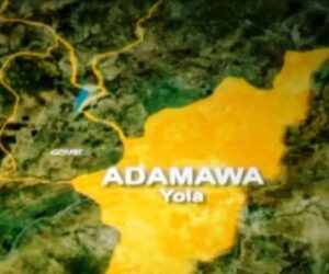 Adamawa Government Reunites 14 Rescued Children With Families