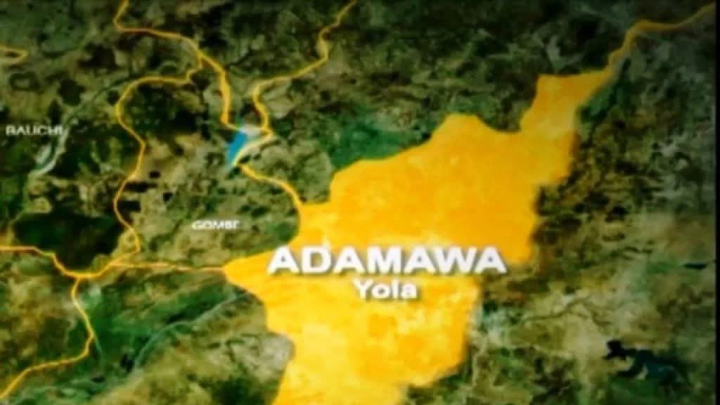 Adamawa Government Reunites 14 Rescued Children With Families