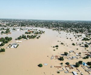 Flood destroys 995 rice farms in Jigawa