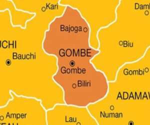 Gombe farmers get climate-resilient seeds – Daily Trust