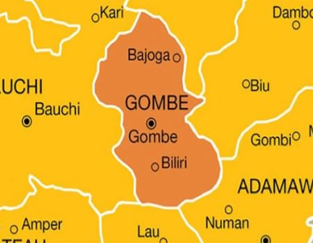 Gombe farmers get climate-resilient seeds – Daily Trust