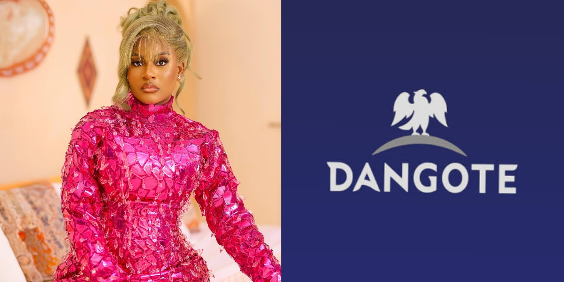 Dangote promises support; Phyna seeks abroad care for injured sister