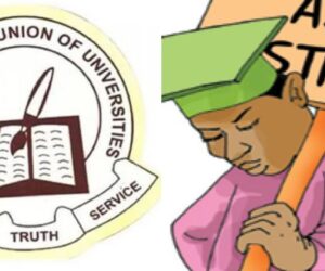 ASUU, VCs lament professors earning N525,000 monthly