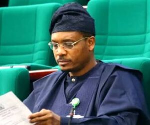 Don’t Procrastinate Your Pre-registration Exercise For PVC, Peller Urges Nigerians – Independent Newspaper Nigeria