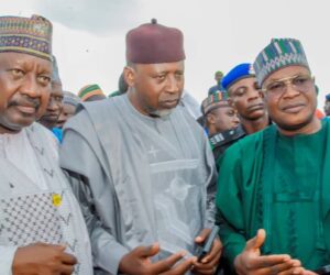 Four d£ad, 41 rescued in Sokoto boat accident