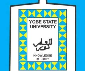 Tragic Accident Claims Life Of Yobe Versity Student Amina, Others injured – Independent Newspaper Nigeria