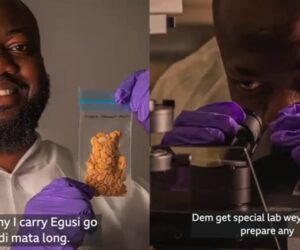 Space scientist takes Egusi from Nigeria to space