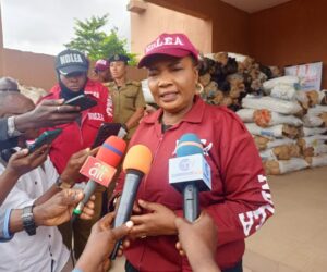 NDLEA seizes multi-million naira Cannabis in Kwara, arrests four suspects