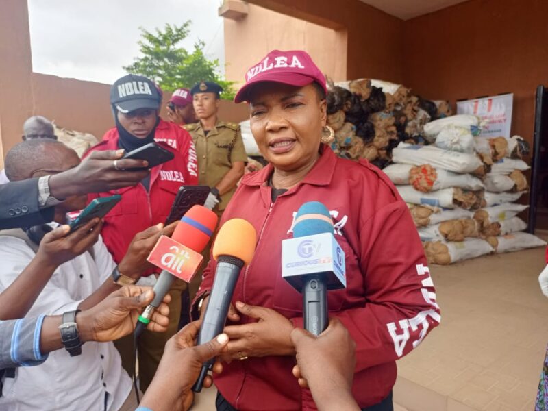 NDLEA seizes multi-million naira Cannabis in Kwara, arrests four suspects