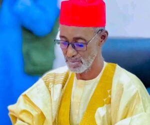 Kano Constitutes Panel To Investigate Ganduje’s Abattoir Deal – Independent Newspaper Nigeria