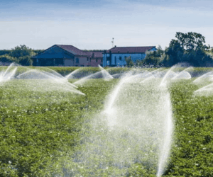 Industrial farming booms as CSOs raise concerns over JBS $2.5bn investment