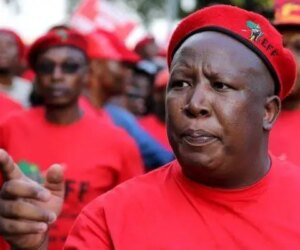 Xenophobia betrays African unity – Malema