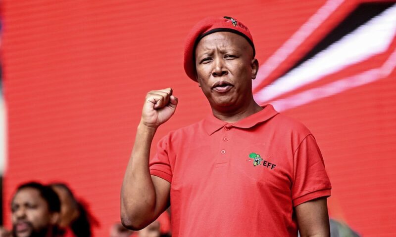 Malema Calls For Single Africa Presidency, Currency