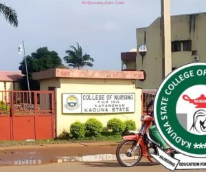 3-day warning strike grounds academic activities in Kaduna College of Nursing Sciences