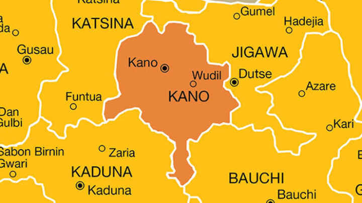 APC wins in Ghari/Tsanyawa elections in Kano