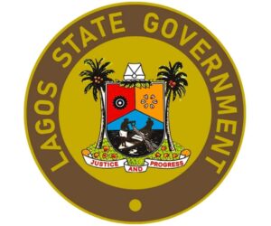 Lagos records 8,692 domestic violence cases in one year