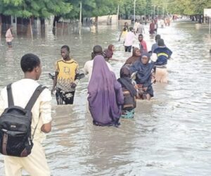 NEMA confirms 21 communities submerged by floods in Yobe