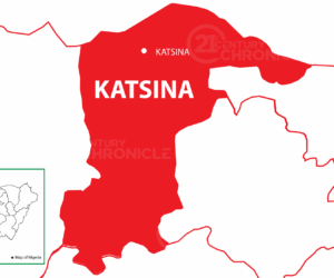 How thugs disrupted security meeting in Katsina – Daily Trust