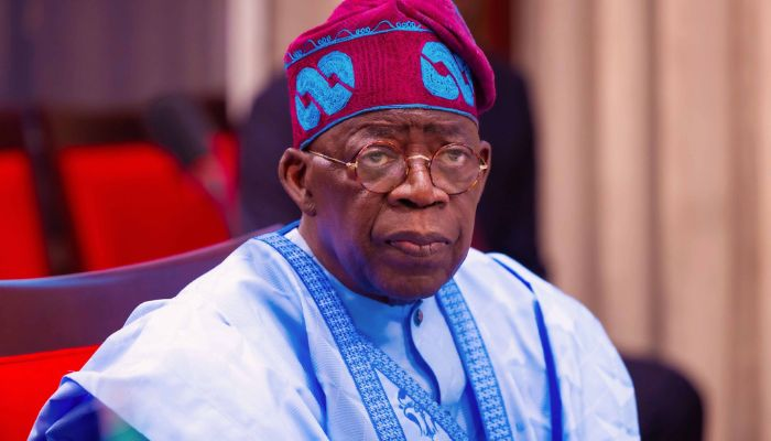 Hunger, diseases spread as FG struggles to fill aid gap