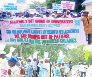 FG moves to avert ASUU strike – Daily Trust
