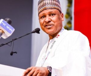 Killers of worshippers in Katsina will be hunted down – FG