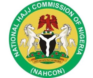 Visa violators risk N8.15m fine, imprisonment – Daily Trust