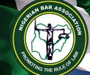 Obasanjo, Malema, Over 20,000 Lawyers Converge in Enugu for 2025 NBA Conference