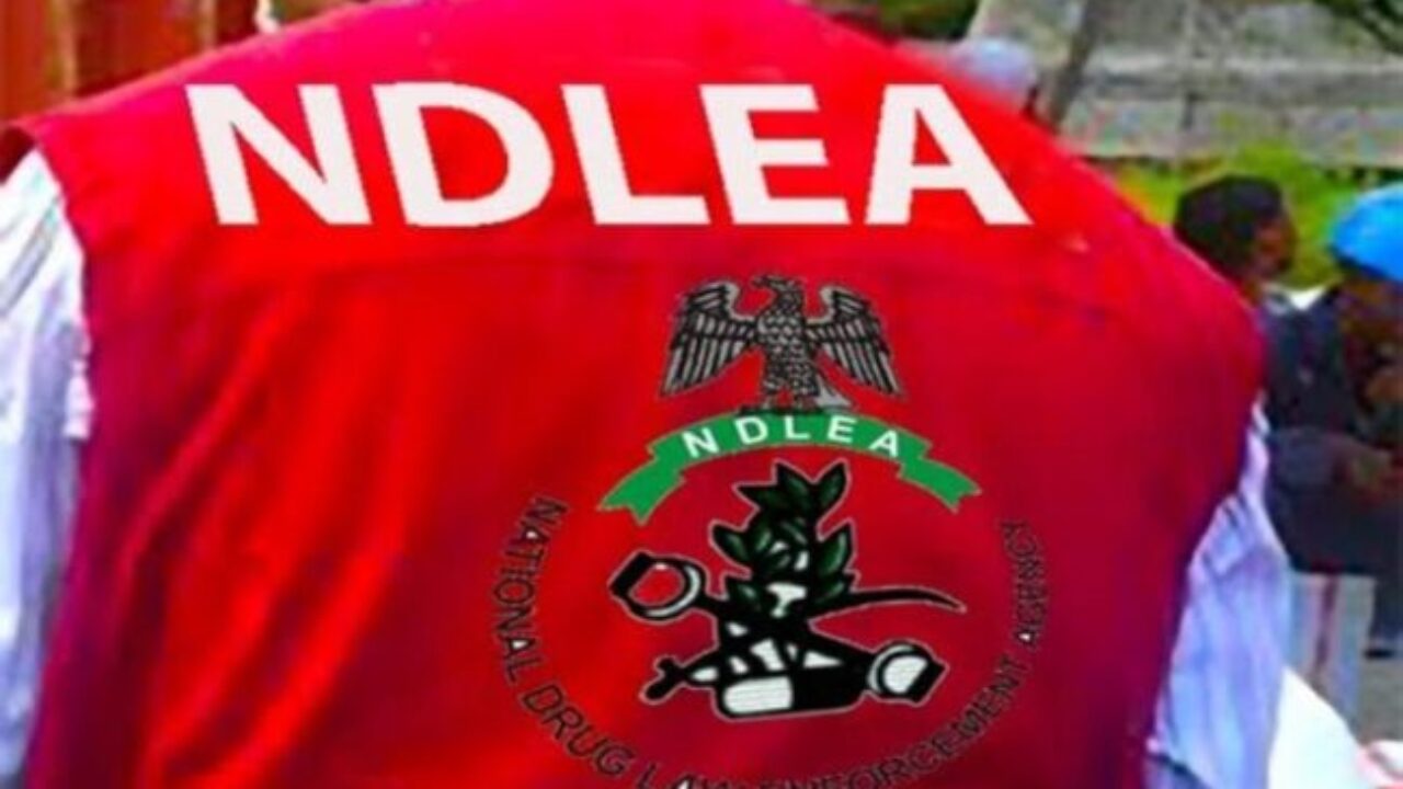 NDLEA arrests 65 suspects in Abia, 7 preosecuted, convicted