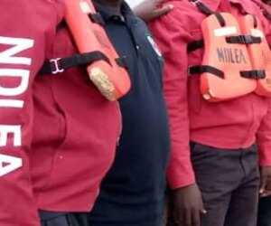 NDLEA arrests woman using fake pregnancy to traffic cocaine
