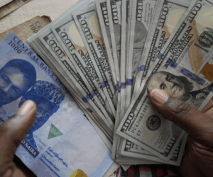Naira ends week steady at N1,535 amid rising FX reserves