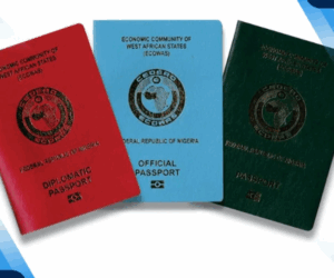Enugu State Orders Retrieval of Diplomatic Passports from Former Appointees | Tech | Business
